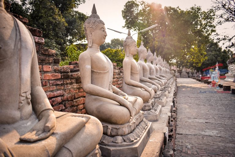 21920008-8d877877b715452482f4a379e6475b85-20011821