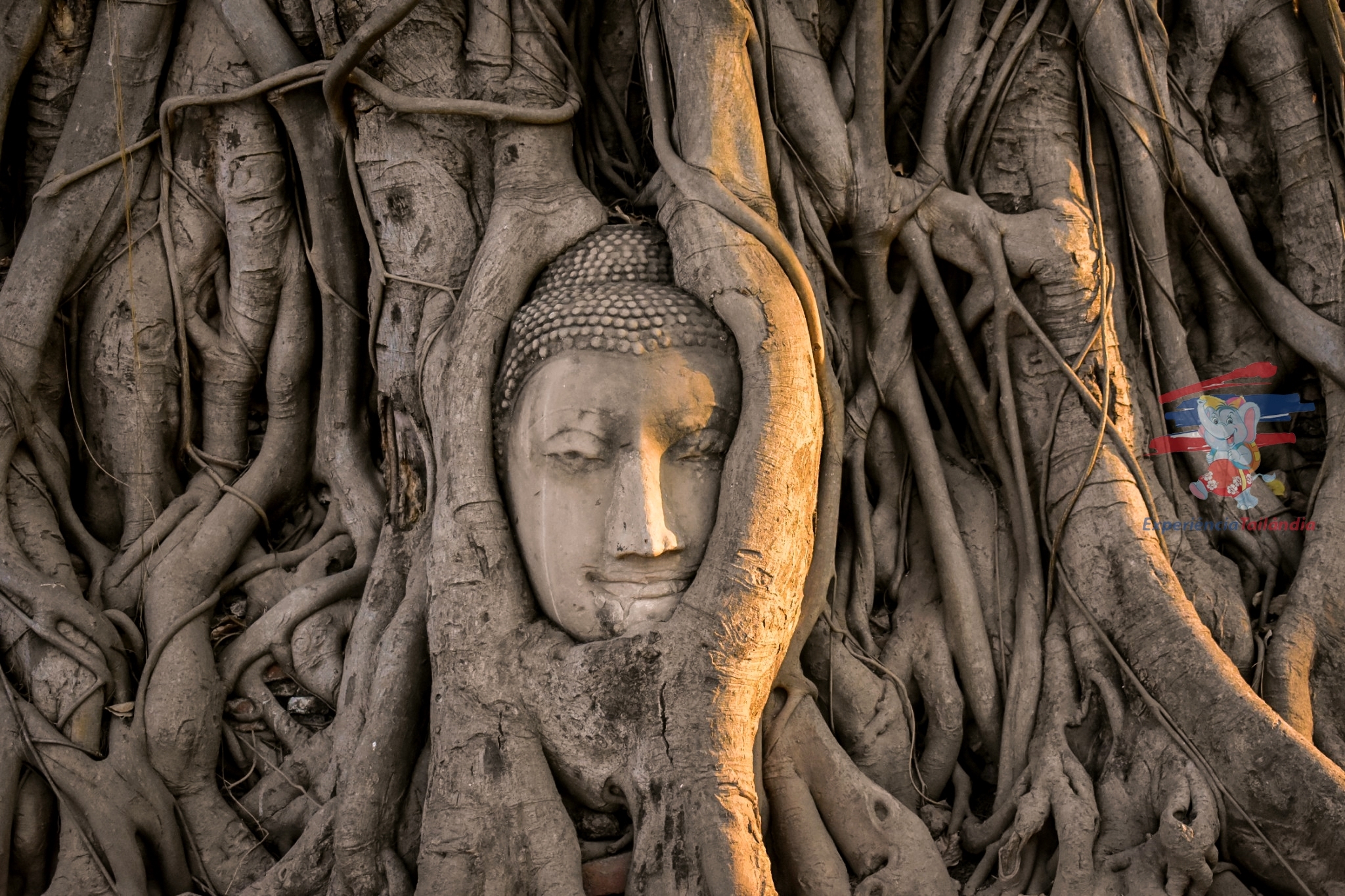 Desde Bangkok: Excursión de un día a Ayutthaya & Ayothaya Floating Market