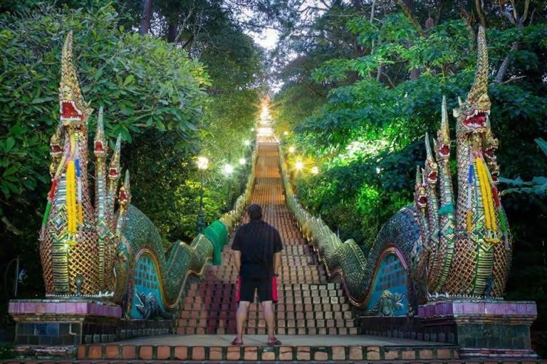 timeline_20241203_145648